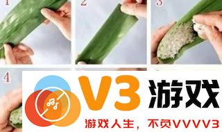 简单易学的包粽子全程视频教程，手法详解让你轻松掌握包粽技巧