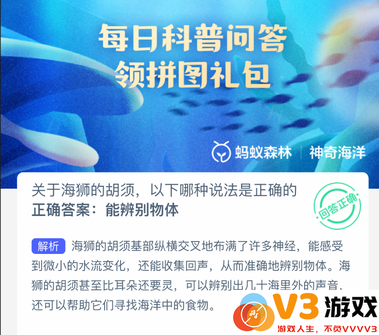 关于海狮的胡须，以下哪种说法是正确的