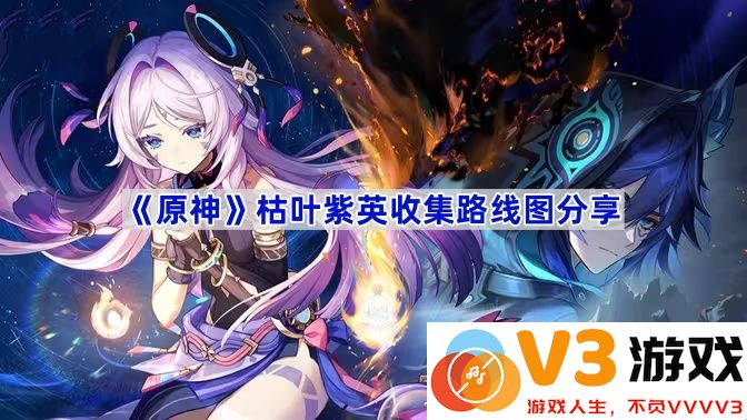 《原神》枯叶紫英收集路线图详解