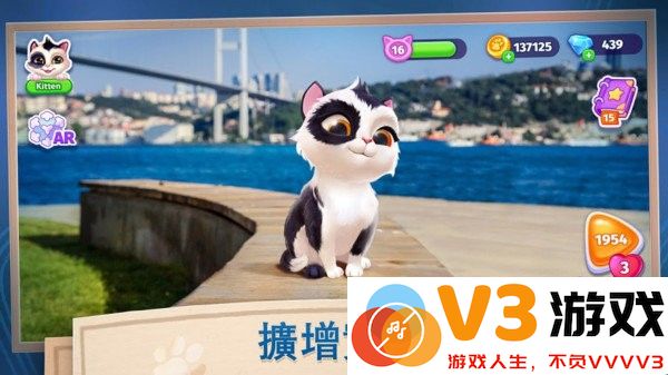 我的可爱猫咪游戏 v1.0.2 安卓版 0