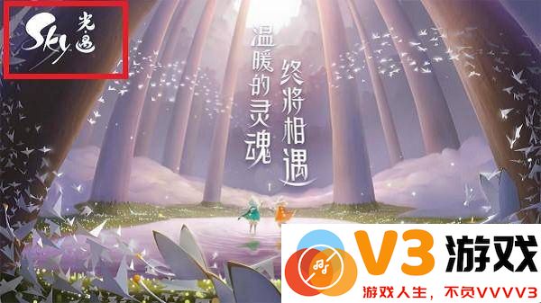 光遇国际服和光遇国服不同介绍