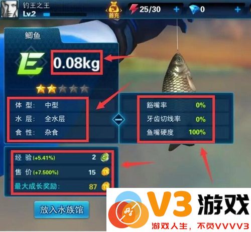 钓鱼大咖钓鱼方法