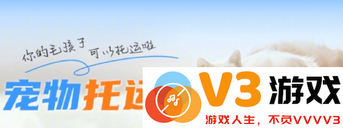 12306宠物托运的详细流程与所需手续，如何顺利下单进行宠物托运