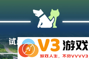 如何办理12306宠物托运手续及最新的12306宠物托运价格表详解
