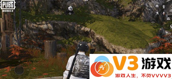 pubg四象修行玩法
