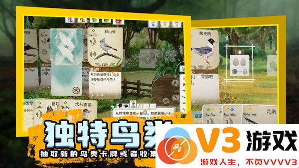 鸟类观察家游戏下载