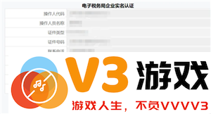电子税务局实名流程 电子税务局实名等级四级是什么意思
